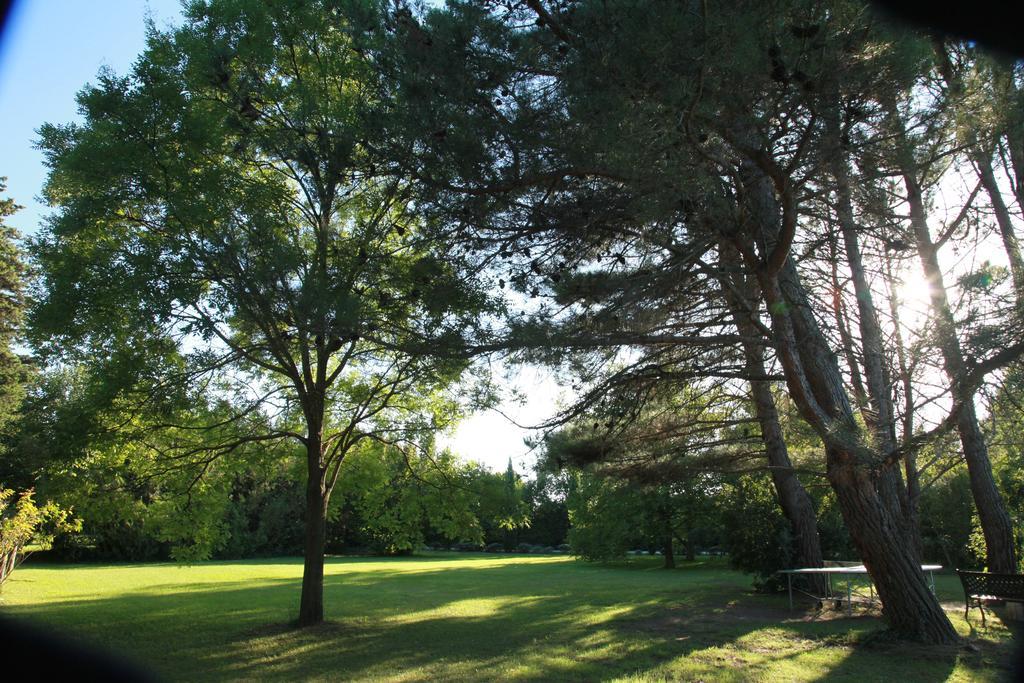 Mas La Provence Bed & Breakfast LʼIsle-sur-la-Sorgue Dış mekan fotoğraf